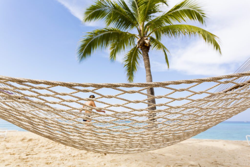 hammock and palm tree on the beach